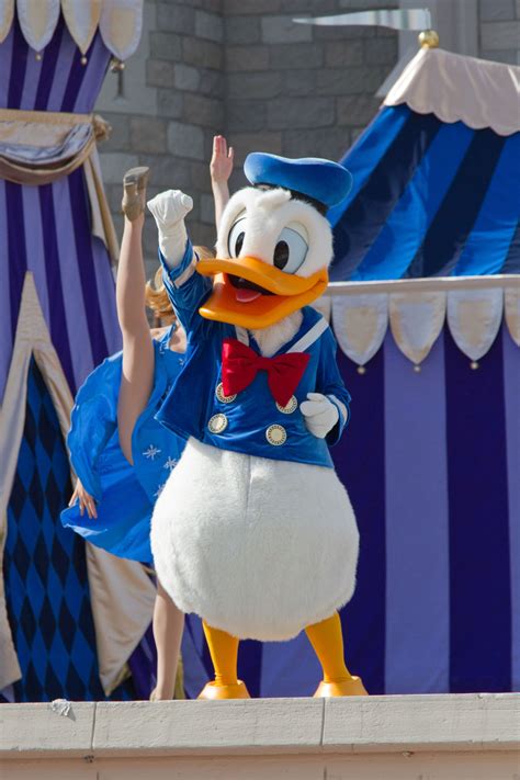Dream Along With Mickey Magic Kingdom Walt Disney World