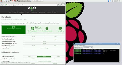 upgrading kittycam with raspberry pi 3 girliemac blog