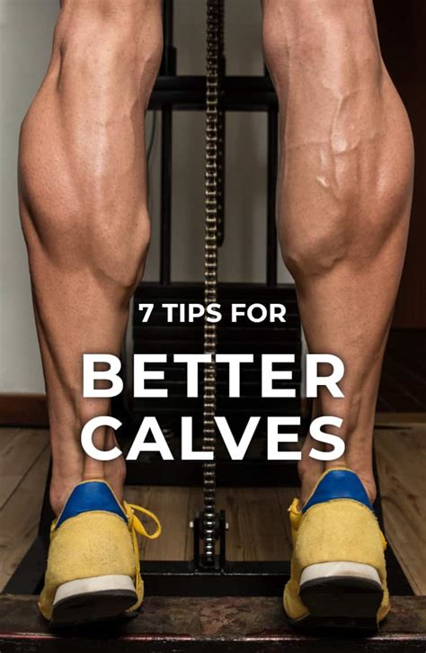 7 Tactics For Bigger Calves Nutritioneering