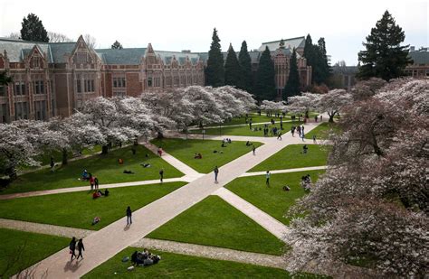 University Of Washington Could Offer Course In Bs