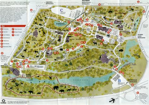 Printable Bronx Zoo Map Printable Templates