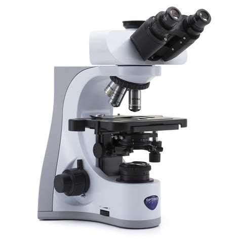 Imagem De Microscópio óptico