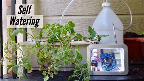 How To Make Self Watering System At Home Easy Diy Youtube