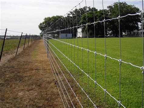 Field Fence With Various Types For Cattle Fencing In Farm