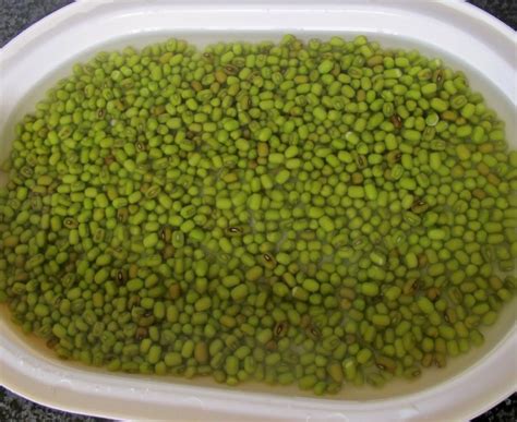 Bersihkan ayam dari bulu dan lendirnya yang masih menempel. Ini Cara Rebus Kacang Hijau Cepat Empuk - Rasa