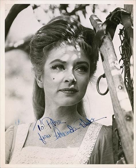 amanda blake amanda blake gunsmoke classic hollywood miss kitty vrogue