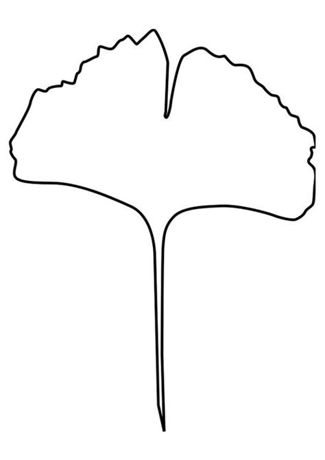 Beech Leaf Template - ClipArt Best