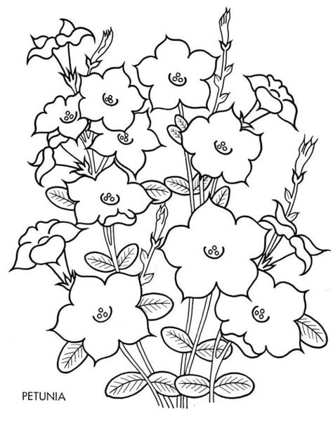 Fise de Colorat cu Floare Stufoasă De Primăvară Descărcați imprimați