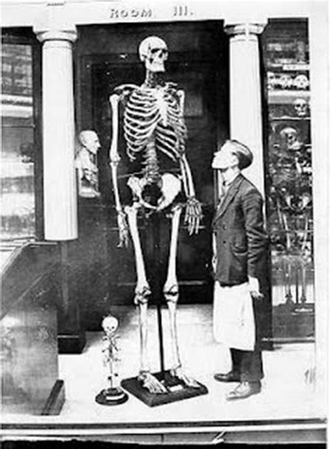 Mysterious Look At Giant Human Skeletons From Around The World Techeblog