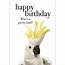 TM07  Happy Birthday Whos A Pretty Bird Little Card Affirmations