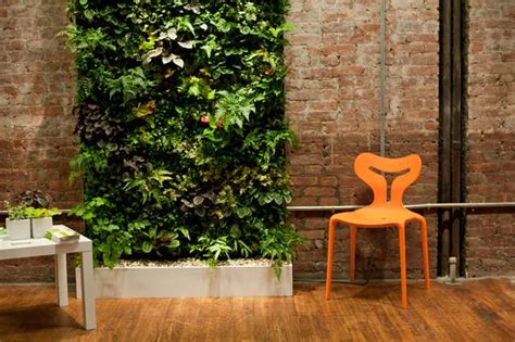 Living Green Walls 101 Their Benefits And How Theyre Made Dwell