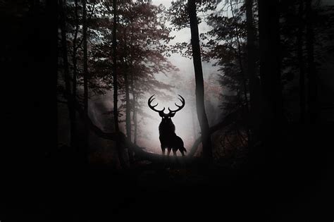 Hd Wallpaper Fantasy Animals Deer Dark Forest Silhouette