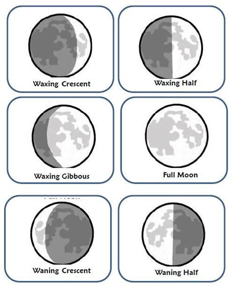 Our moon is a fascinating subject! moon phase cards | simple moon phases for (With images ...