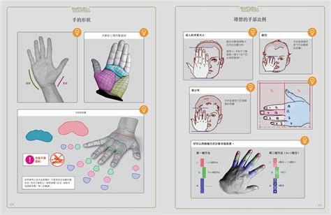 藝用3d人體解剖書：認識人體結構與造型讀書共和國網路書店