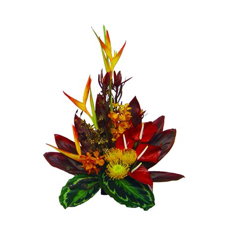 We did not find results for: Tropical Sunset Hawaiian Flower | Hawaiian Flowers ...