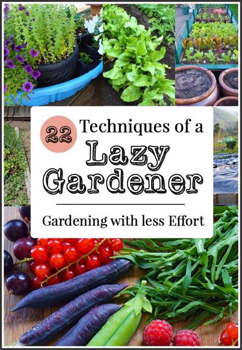 22 Gardening Tips To Save You Time And Effort Home And Garden