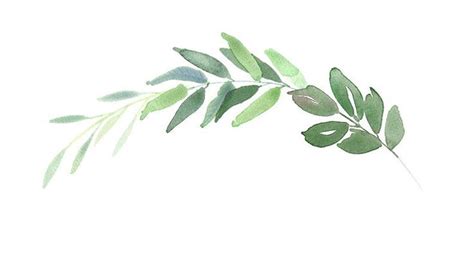 Greenery Wreaths Leaf Watercolor Clip Art Green Leaves Borders