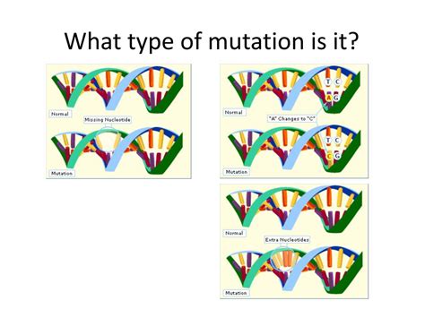 Ppt Mutations Powerpoint Presentation Free Download Id 2664465