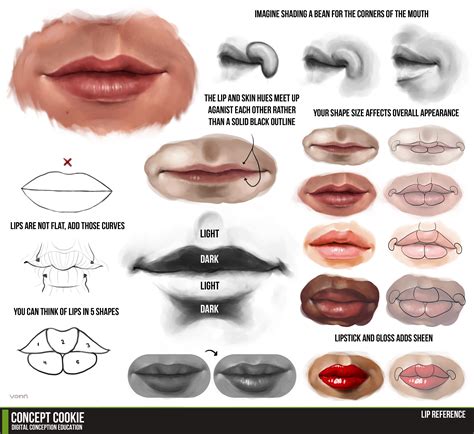 Lips Drawing Anatomy For Artists Digital Painting Tutorials