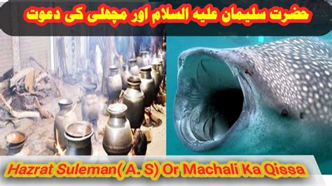 Hazrat Suleman A S Or Ek Machali Ka Qissa Shadabzafarofficial Islamic