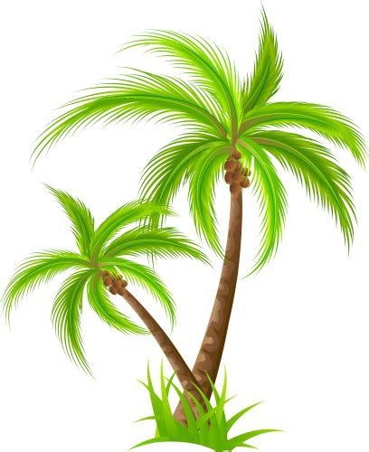 Palm Png Clip Art Best Web Clipart