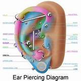 Prices For Piercings Images