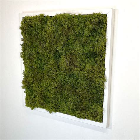 Artificial Reindeer Moss Wall Art Panels Available In White Square Mdf