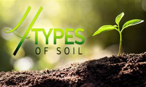 4 Types Of Soil Bible