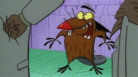 Watch The Angry Beavers Season 3 Episode 3 The Angry Beavers Spooky