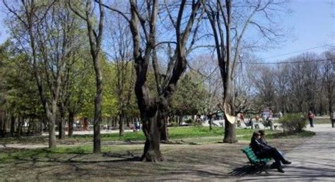 В Одессе мать бросила однодневного ребенка в парке на скамейке УНИАН