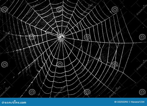 A Pretty Scary Frightening Spider Web For Halloween Stock Photography