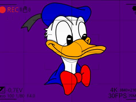 Donald Duck 2 Ibispaint