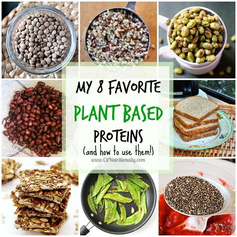 My 8 Favorite Plant Based Proteins And How To Use Them Chelsey Amer