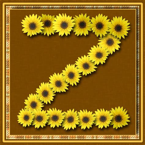 Buchstabe Letter Z Sunflower Letters Flowers