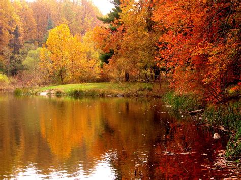 Download Autumn Lake Fall Nature Lakes Hd Desktop Wallpaper By