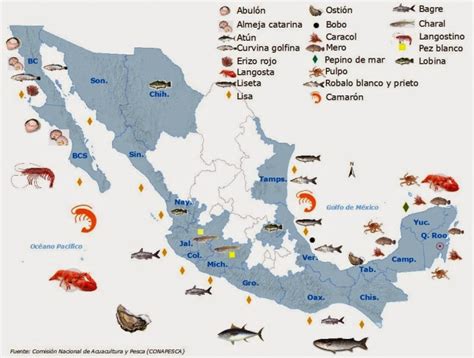 Nyfiken Geográfico Pesca En MÉxico