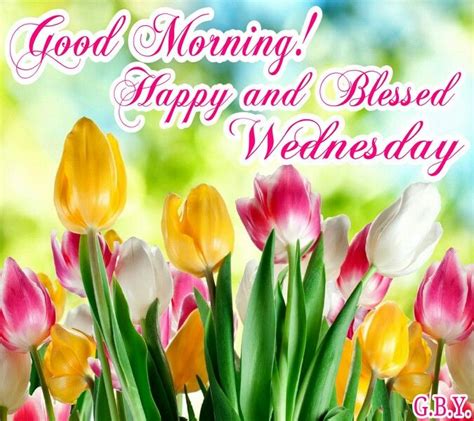 Good Morning Happy And Blessed Wednesday Pictures Photos And Images