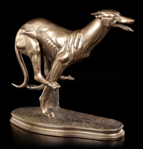 Greyhound hund, hundeveddeløp og betting. Hunde Figur - Greyhound Hündin | Hunde | Tiere | Kulturen ...