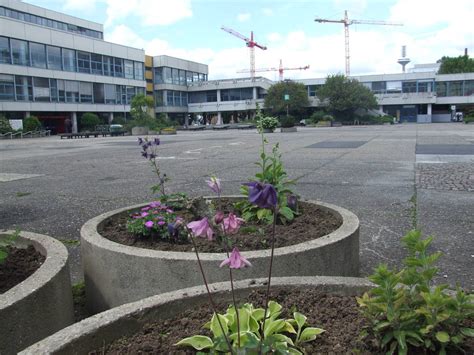 Nach angaben der feuerwehr entstand das feuer in dem. Uni Campus Bockenheim