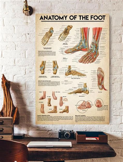 Massage Therapist Anatomy Of The Foot Vertical Print Poster In