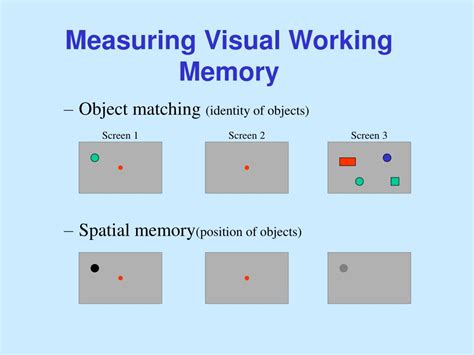 Ppt Visual Working Memory Powerpoint Presentation Free Download Id