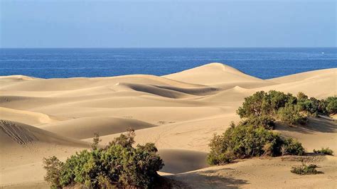 Seis De Los Paisajes De Dunas M S Espectaculares De Espa A