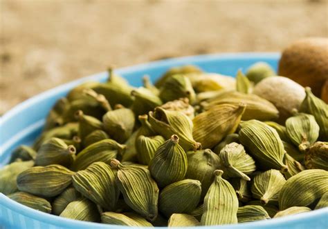 In this video, we will talk about the 10 powerful benefits of cardamom that will help improve your health! green-cardamom - Healthyliving from Nature - Buy Online