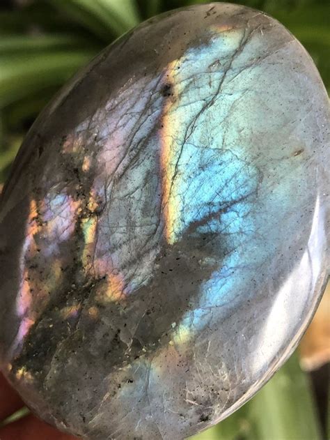 Labradorite Spectrolite Palm Stone Stock 35 Mooncat Crystals