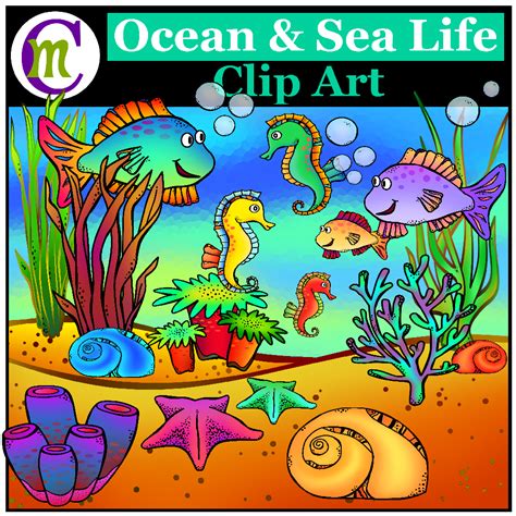 Ocean Clip Art Clip Art Sea Life Clipart Photo Clipart