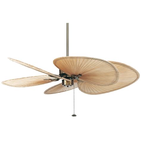 Good lighting is one of the most important things to ponder about in your house. Fanimation 52" Islander 5 Palm Blade Ceiling Fan & Reviews ...
