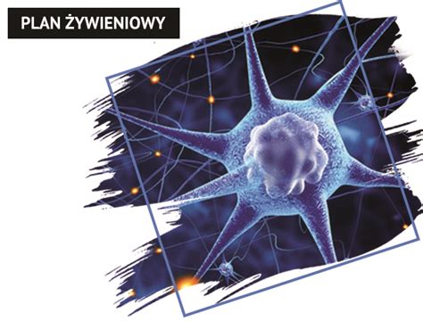 Sclerosis multiple), to przewlekła, zapalna choroba, atakująca układ nerwowy, powodująca uszkodzenie tkanki nerwowej. Plan żywieniowy w SM (stwardnienie rozsiane) | Trener ...