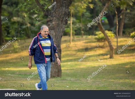 Indian Old Man Running Jogging Park Stock Photo 2250020257 Shutterstock