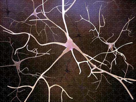 Nerve Cells Artwork Jigsaw Puzzle By Andrzej Wojcicki