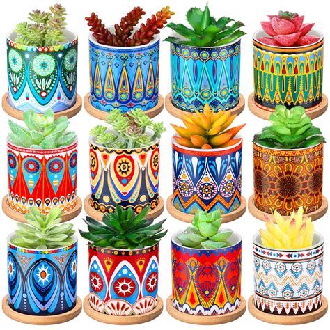 Mua 12 Pcs 3 Inch Succulent Pots Succulent Planters Cylinder Ceramic